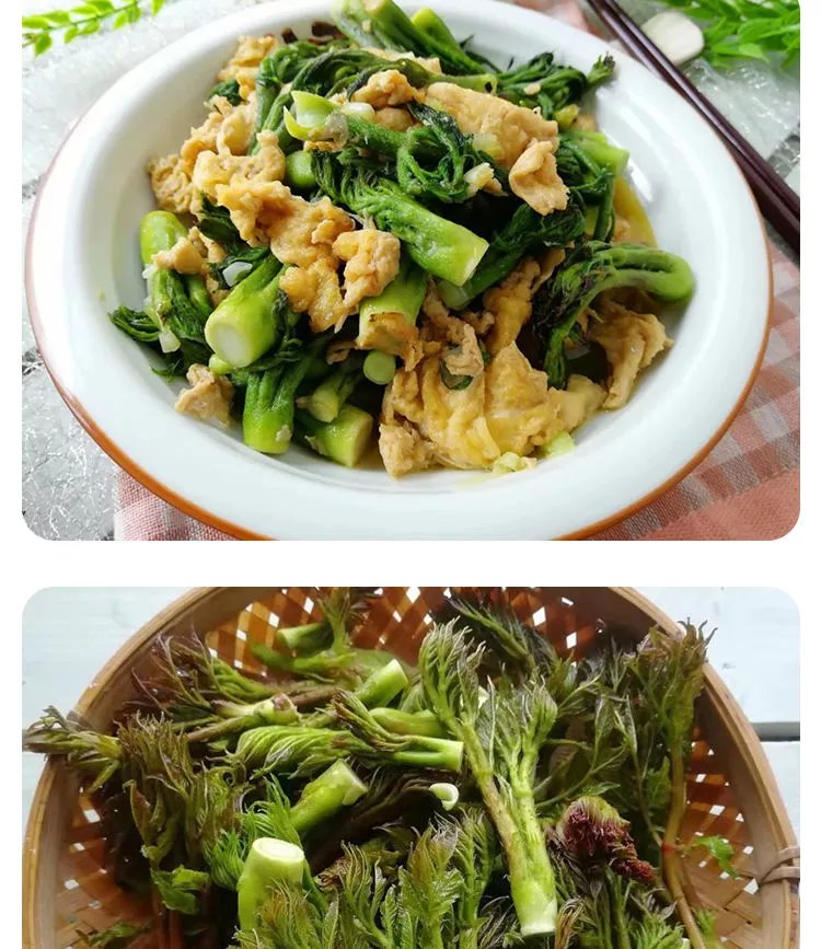 刺嫩芽 450g*1袋 小叶芹燕子尾山野菜刺老芽东北特产蕨菜柳蒿芽 猴腿