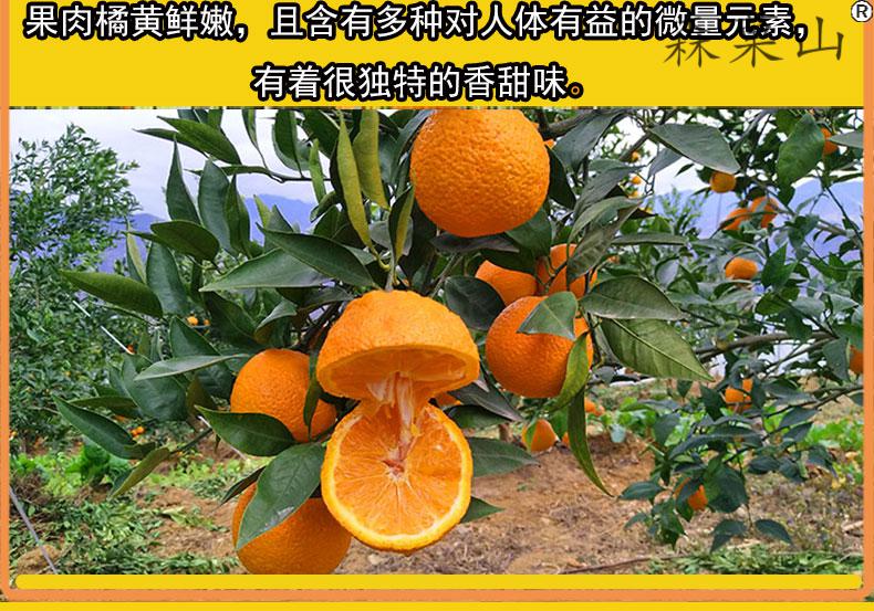石棉黄果柑四川汉源黄果柑应季新鲜酸甜孕妇水果桔子特产柑橘中果约