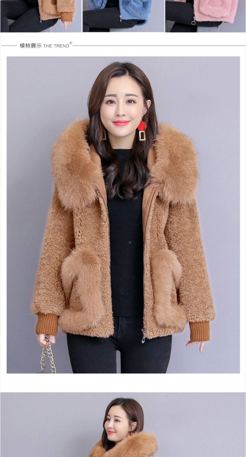 高端轻奢羊剪绒大衣女2020秋冬装新款时尚百搭皮毛一体短款皮草外套潮