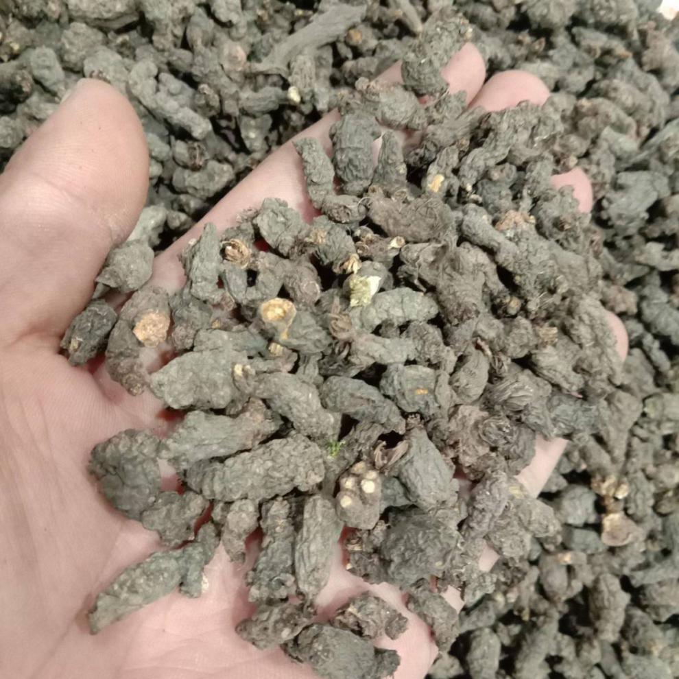【jd滋补】野生中药材天葵子千年老鼠屎新鲜现挖紫背天葵天葵种子250g