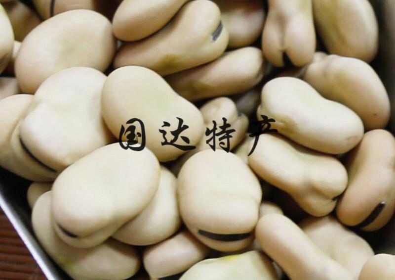 干蚕豆 白皮蚕豆杂粮生罗汉豆生胡豆 生蚕豆 一份5斤