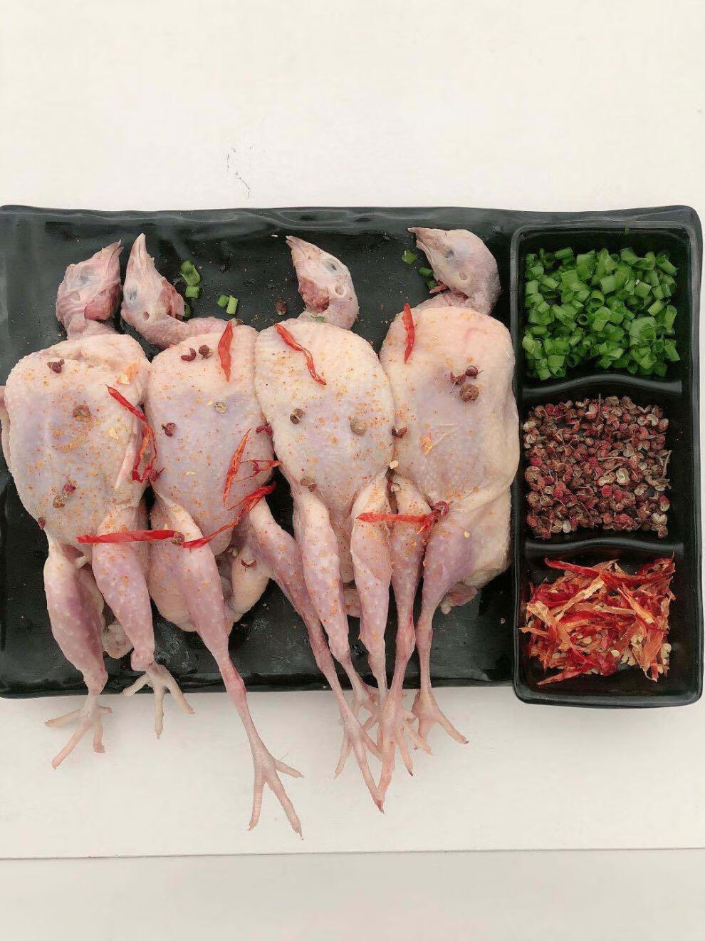 4两左右公鹌鹑 5只【尝鲜试拍】