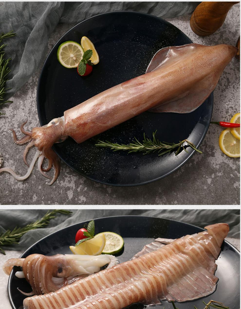 鱿鱼 福建近海生手钓鱿鱼 450g*2鲜活冷冻大海钓大管枪乌贼