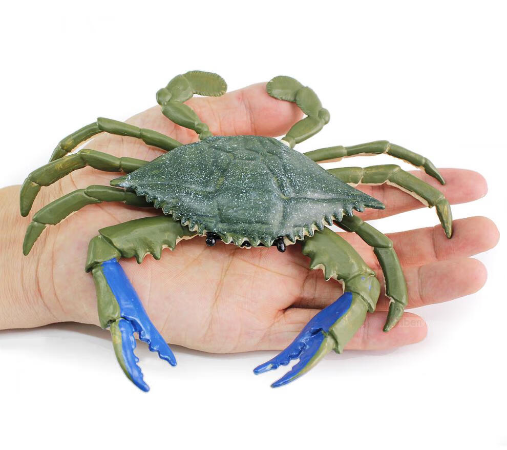 仿真海洋动物模型环保螃蟹玩具梭子青蟹35岁户外儿童男螃蟹红色