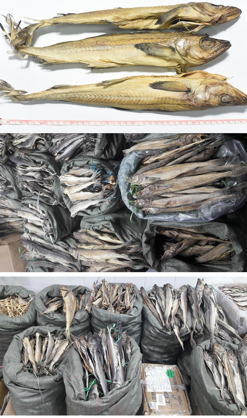 柴鱼干 鳕鱼干货 明太鱼干 海鲜软硬柴鱼干鱼 淡晒海鱼干货 硬板柴鱼