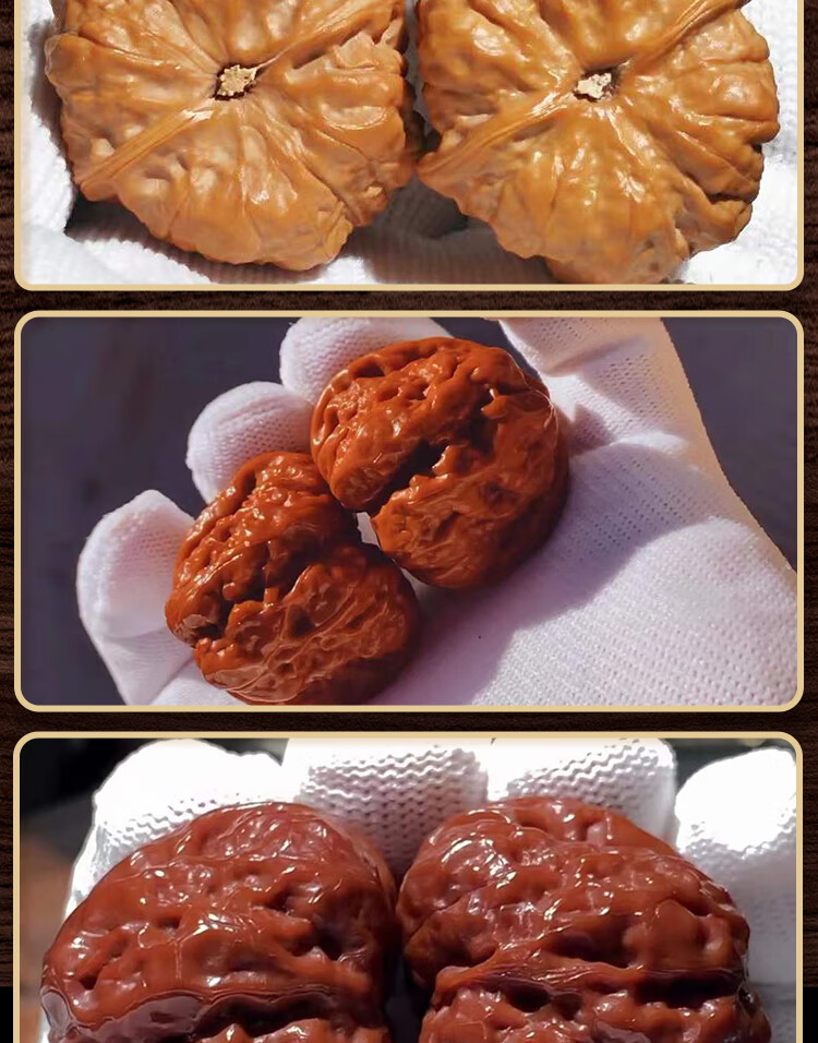 歌盼 大金蟾元宝蛤蟆头大开背野生手玩精品文玩核桃 延庆收藏级送礼