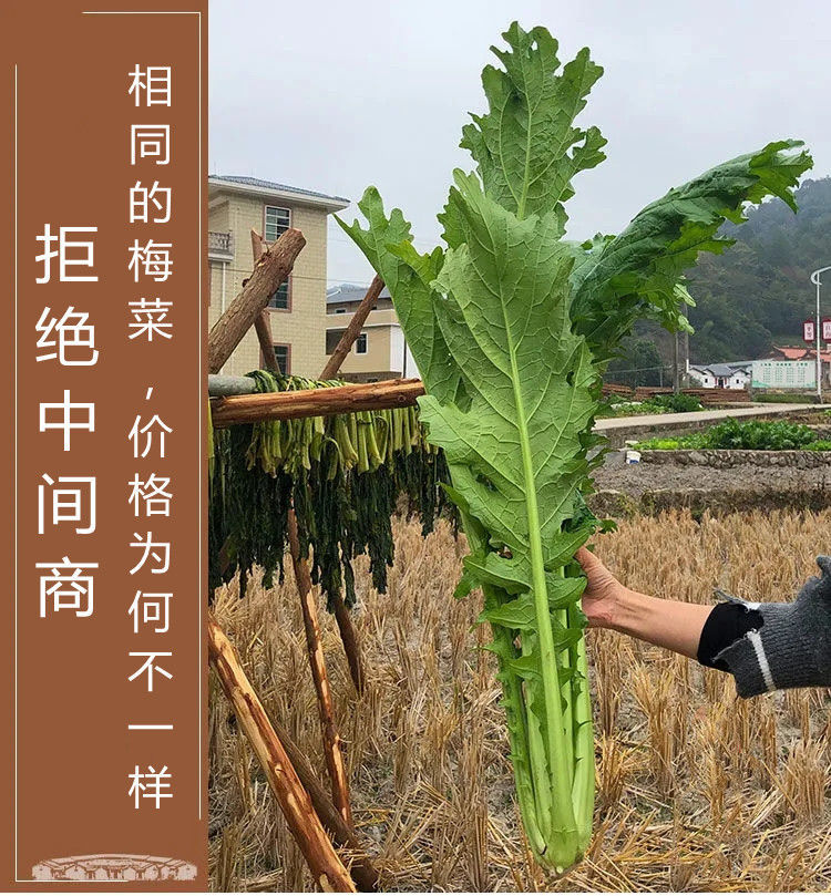 无盐梅干菜梅菜干正宗2斤梅州农家自制新鲜老广味道扣肉咸菜整颗原