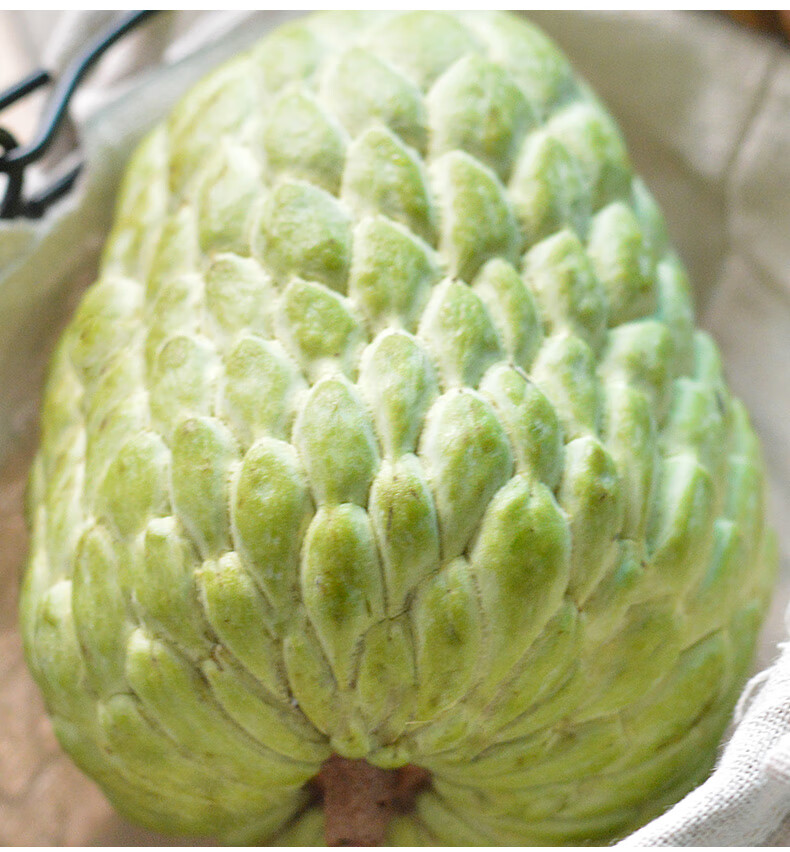 晨臻顺丰速发泰国释迦3510斤泰国大目牛奶释迦新鲜释迦果佛头果番荔枝