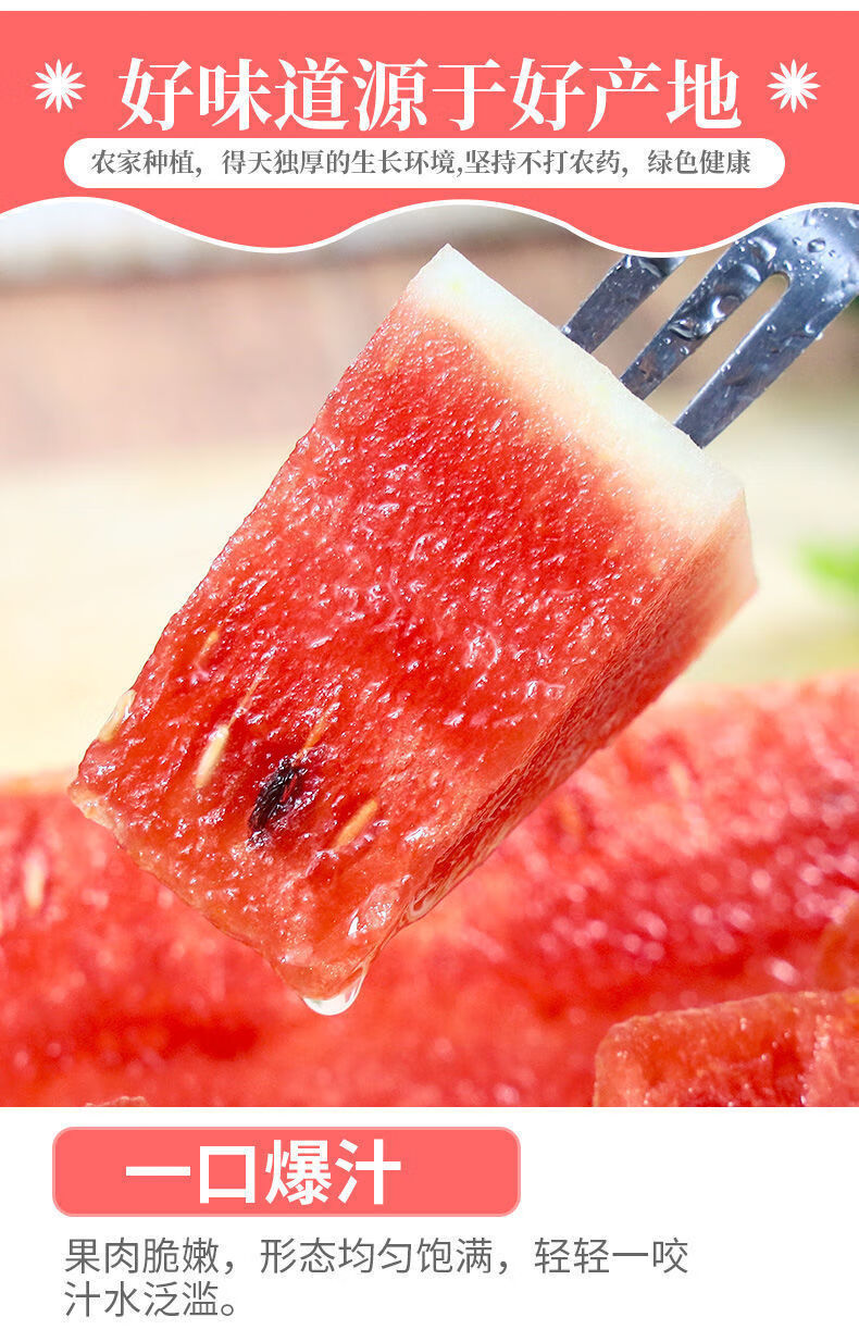 【爆甜多汁】广西黑美人大西瓜山地早熟瓜新鲜水果昌隆福记 8-10斤【1