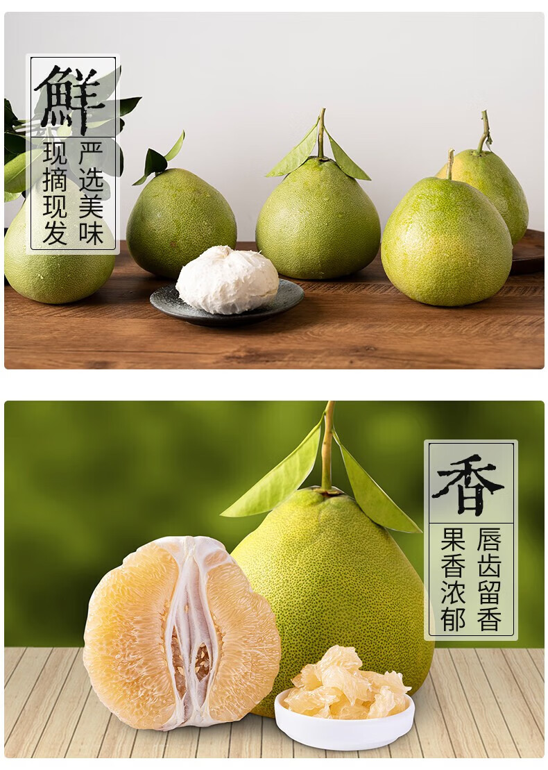 媚调 文旦柚 正宗福建莆田仙游文旦柚红心柚子爆汁蜜
