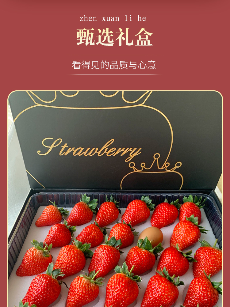 顺丰现货丹东99牛奶红颜新鲜大草莓礼盒抖音网红女友草莓水果黑金版