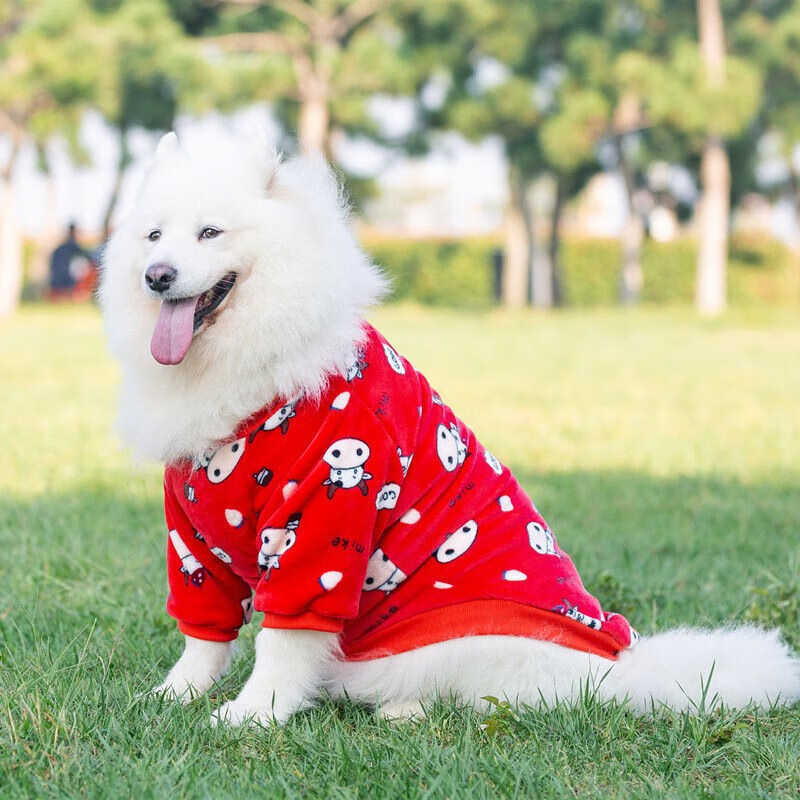 大狗狗春秋金毛拉布拉多萨摩耶哈士奇边牧柴犬中型大型犬 大狗红色