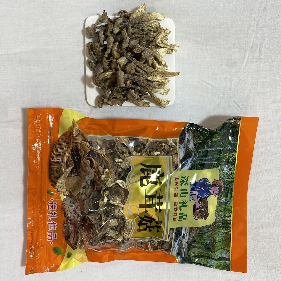 鹿茸菇无硫新鲜菌类福建古田食用菌散装干货土特产地直销特级鹿茸菇