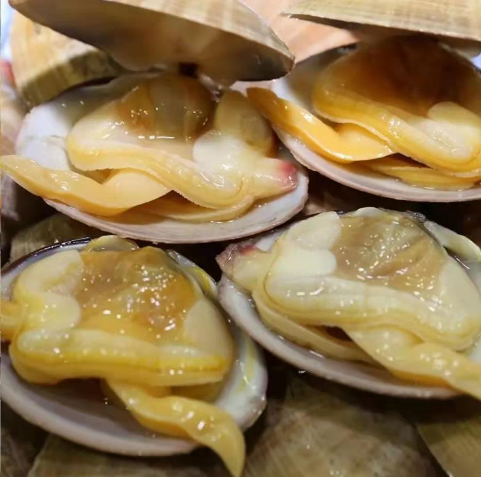 源客行鲜活现剥黄蚬子肉新鲜冷冻大个黄蛤蜊肉花甲肉连云港贝类海鲜