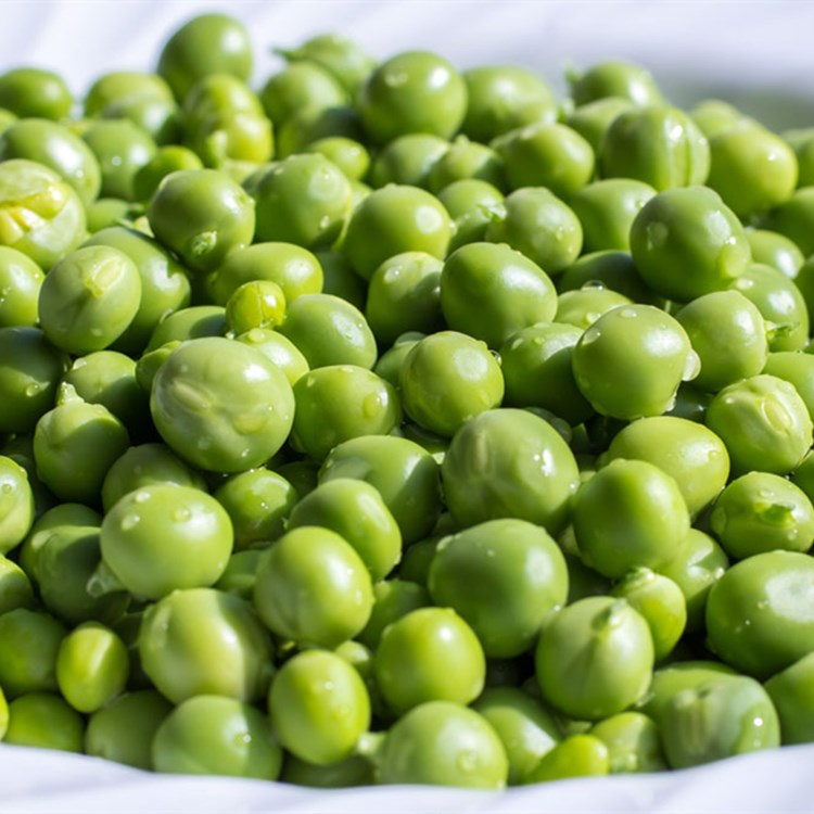 长寿仁豌豆种籽孑食荚大豌豆双荚大豌豆大粒豌豆种子籽大全 j义天中豌