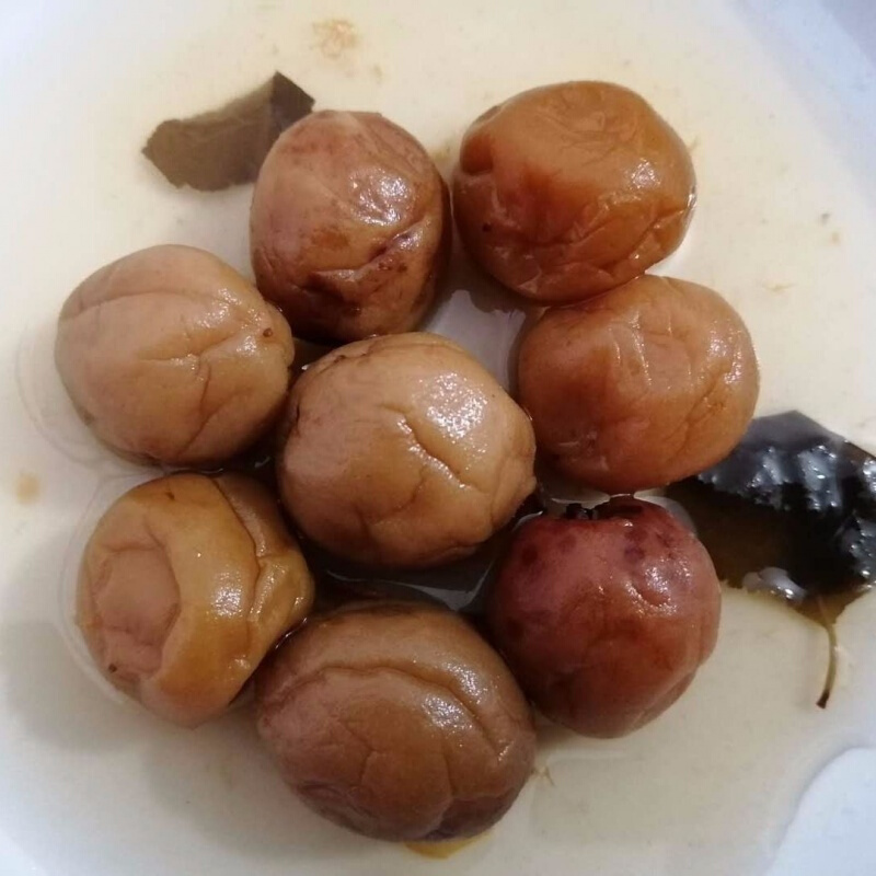 农家传统手工腌制酸咸水梅子腌梅也称为盐渍梅干湿梅咸梅盐水梅 2斤