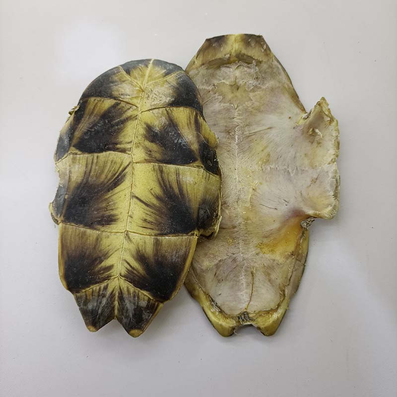 中药材 龟板 250克 新货 生龟板 底板 龟下甲 可磨龟板粉【图片 价格