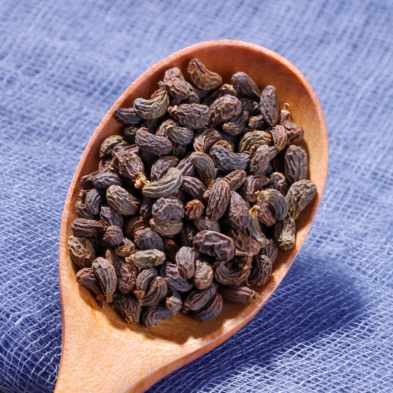 女贞子肉苁蓉中药500g泡水泡茶男性用中药材特级女贞子250罐装