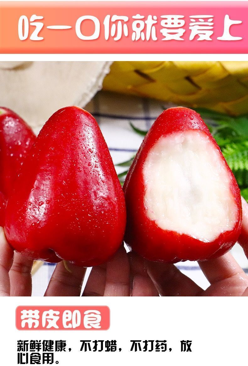 海南红宝石莲雾果5斤热带水果特产 莲雾1斤装【图片 价格 品牌 报价】