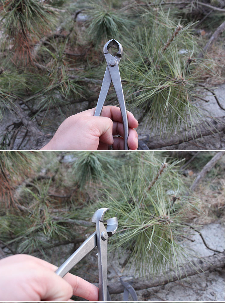 球节剪普通款球节钳斜口剪破杆钳修枝剪刀盆景造型入门工具新手 普通