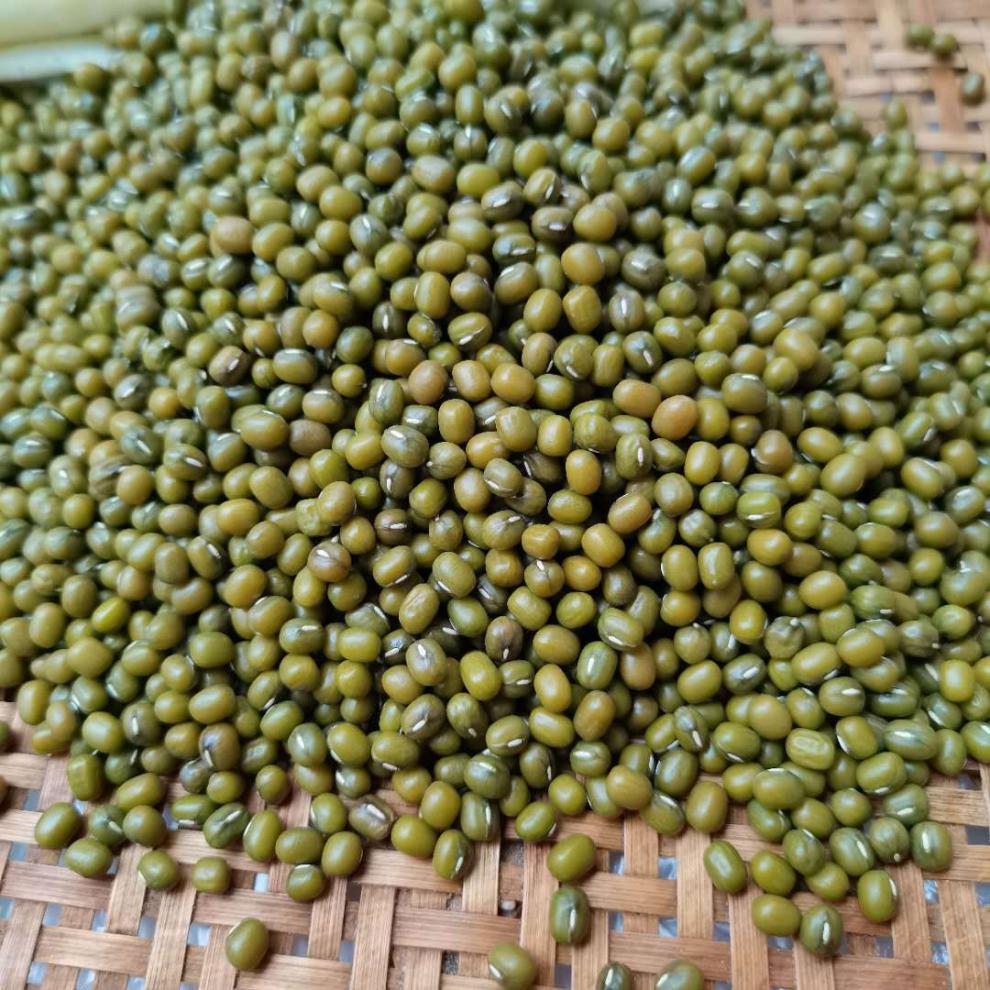 湖北天门特产农家手工豆皮现做湿豆皮新鲜豆饼豆丝豆折3斤 1500g