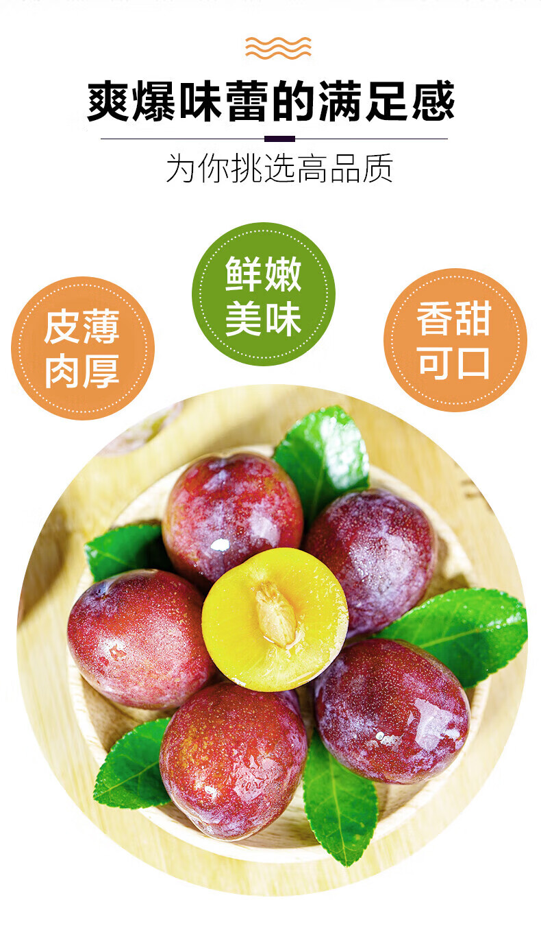 新疆西梅喀什法兰西西梅礼盒大水果新鲜当季整箱级 3斤[中果精品