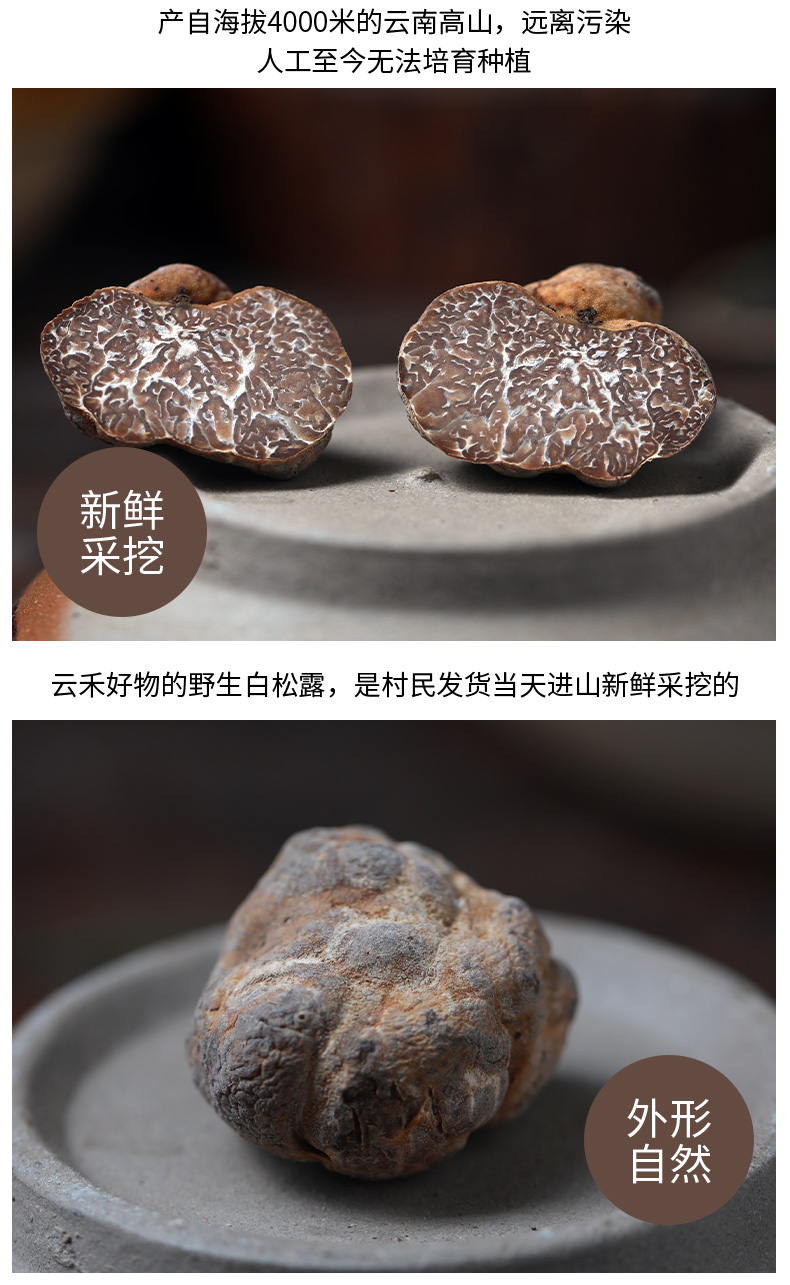 新鲜白松露野生云南特产菌菇黑松露菌块菌猪拱菌法品种白松露23cm250g