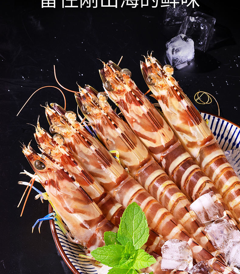 海鲜九节虾花虾鲜活速冻海虾斑节虾竹节虾兰尾虾 北海野生九节虾