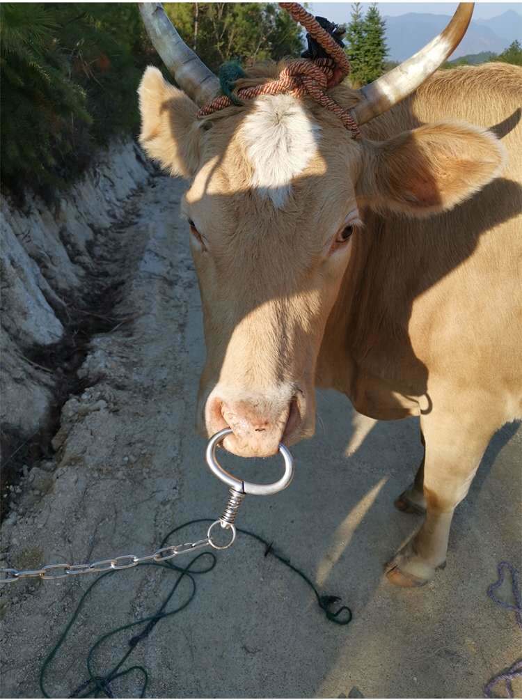 牛鼻环牛鼻圈打穿孔穿孔穿牛鼻子牵引扣钻栓牛用养殖设备牛鼻钳子
