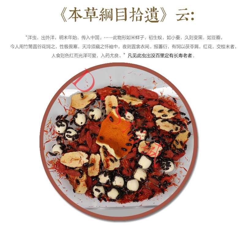 正宗九龙虫活体洋虫自家喂养可泡药泡酒中药材虫子宠物虫活体爬虫种虫