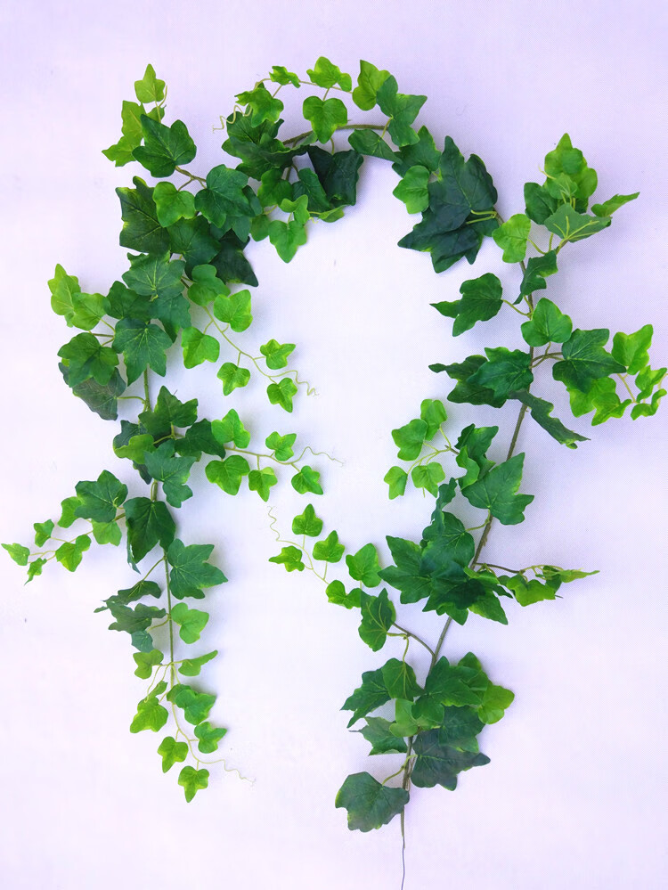 仿真假绿叶藤条花装饰爬山虎树叶电线美化空调水管道煤气暖气管道遮挡