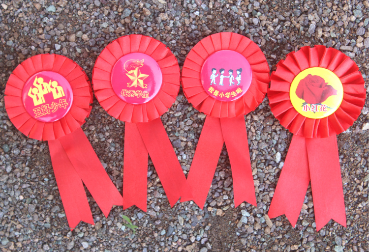 大红花表彰小红花胸花别针小学生幼儿园期末礼物大花朵学校教师奖励