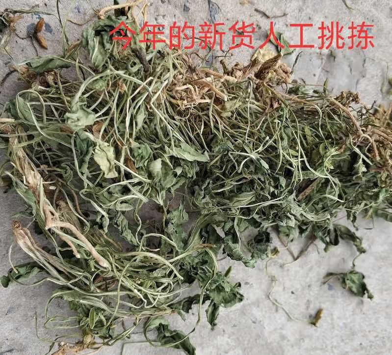 铧头草中药材秦岭铧头草药材新鲜干货犁头草铧头草紫花地丁现采晒干犁