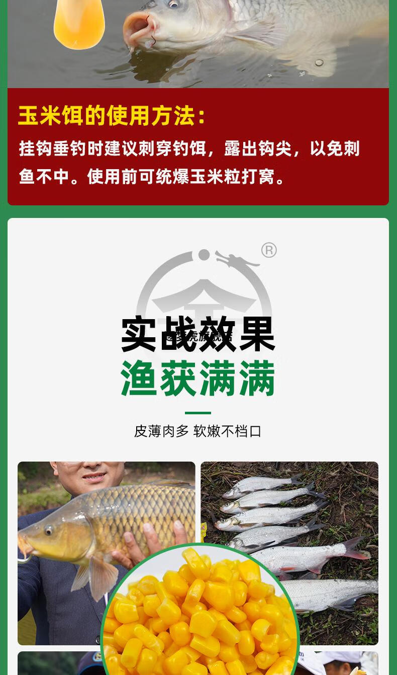 玉米钓鱼专用金龙鲜嫩甜钓鱼玉米粒罐头玉米饵料罐装玉米窝料桶装大物