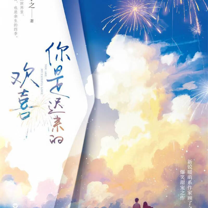 你是迟来的欢喜正版顾了之甜宠青春文学校园爱情言情小说美景未迟如图