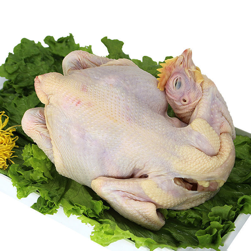 王屋山三黄童子鸡走地鸡散养土鸡鲜鸡嫩鸡白切鸡大盘鸡新鲜现杀两只装