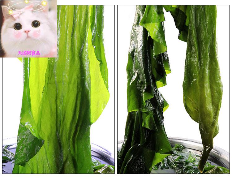 海芝宝深海小海带海之宝有机盐渍海带凉拌新鲜海带丝头根1000g