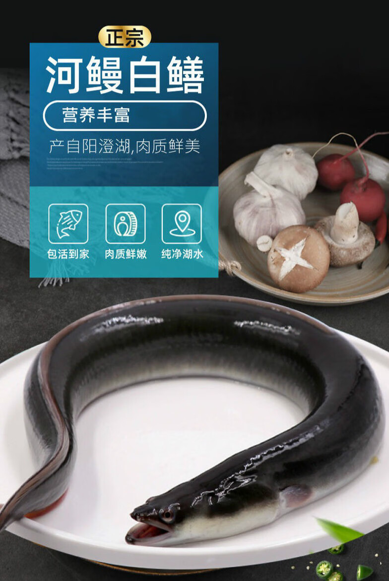 鲜活现杀河鳗白鳝正宗淡水鳗鱼整条水产新鲜每日现捕禧客鲜 【2.3-2.