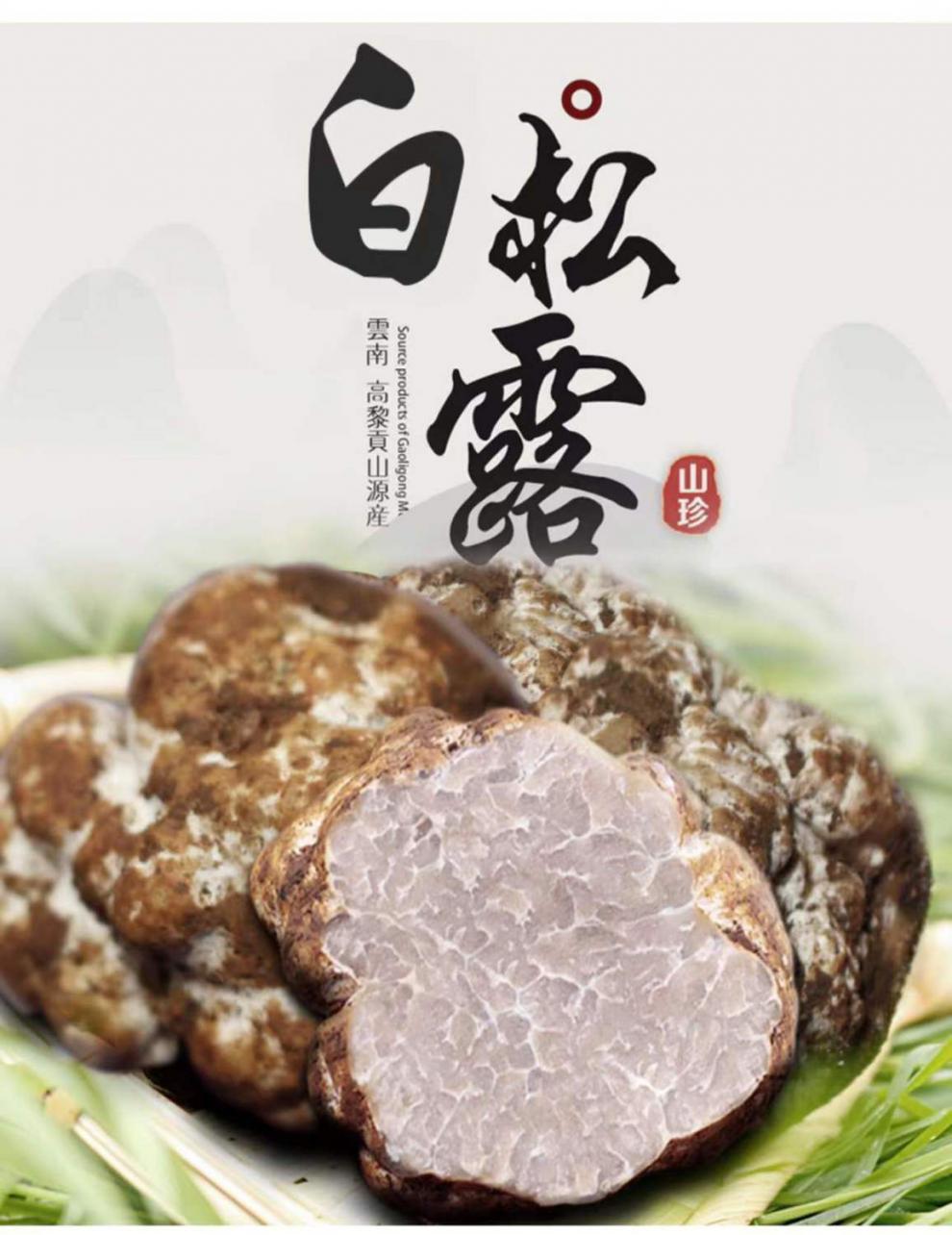 香格里拉白松露 250g/袋 白松露新鲜菌2-4-6cm香格里拉高黎贡山云南