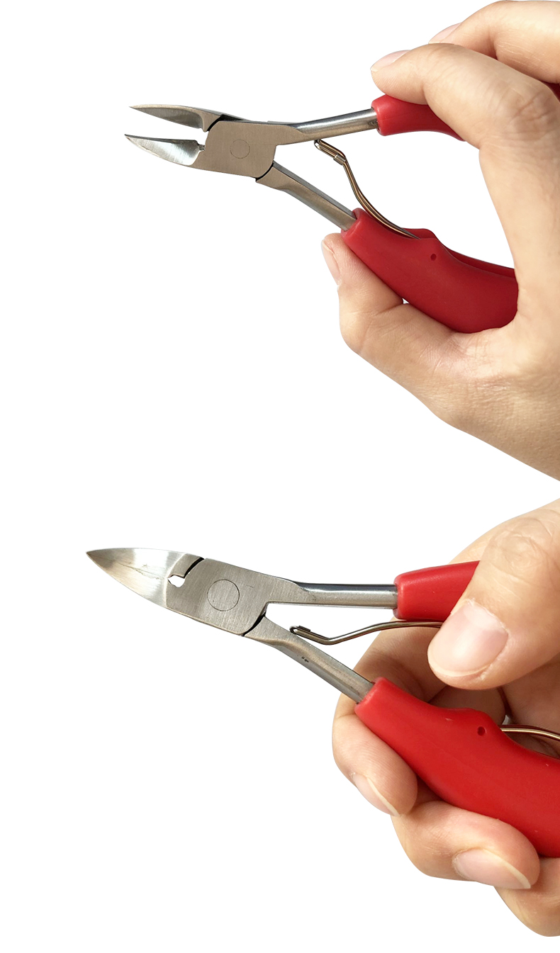 兽用剪猪牙钳仔猪剪牙钳剪牙钳不锈钢剪刀小猪仔猪牙齿猪牙剪 红把剪