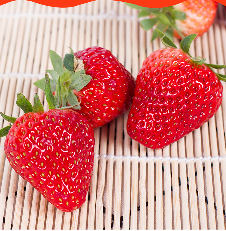 丹东99红颜牛奶草莓新鲜奶油甜草莓当季水果1000g精选果