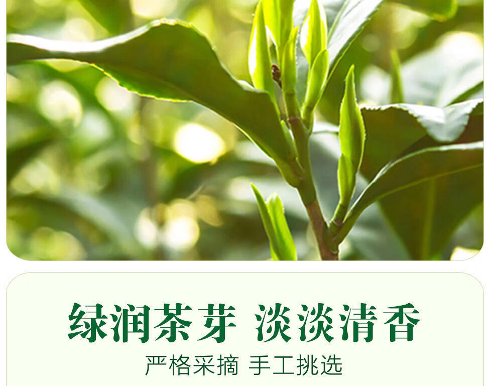 大鄣山2022明前头采新茶正宗婺源毛尖婺源高山绿茶江西茶严选250g罐装