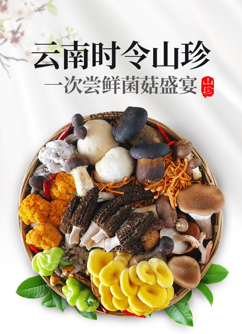 5折高端新鲜蘑菇菌类大全杂菌菇特产食用菌菇组合云南半野生菌子500g