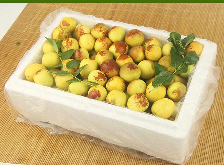 山东沾化大冬枣5新鲜水果整箱当季现摘特大脆甜红鲜枣子现货 5斤特大