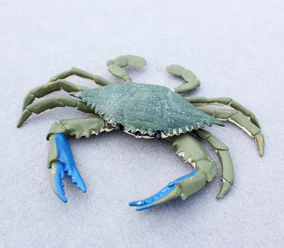 仿真海洋动物模型环保螃蟹玩具梭子青蟹35岁户外儿童男螃蟹红色