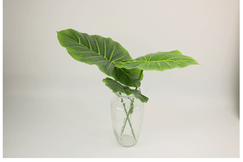 园艺 仿真水果叶子过胶叶滴水观音叶子大片水果店装饰假叶子树叶植物