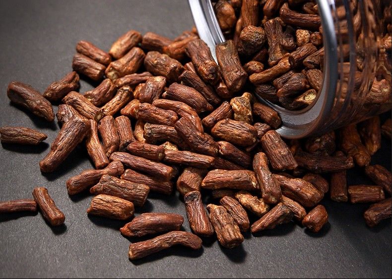 北京同仁堂原料长白山蒲公英根茶大根儿8年老根纯罐装野生大根茶根