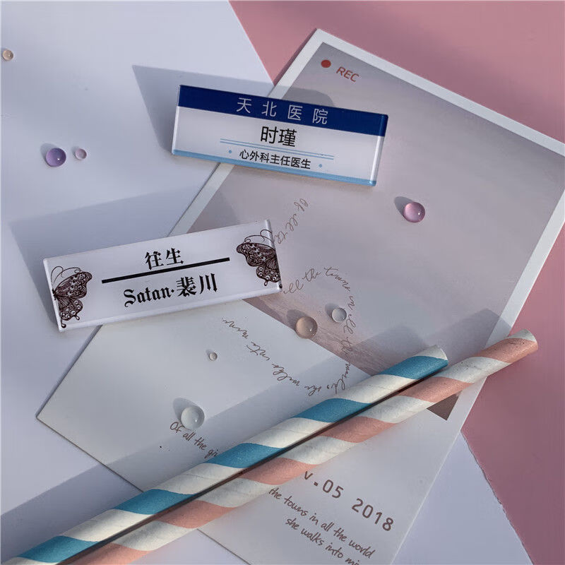 蔻梅现货段嘉许名札谢辞胸牌沈倦名扎江忍桑稚桑延陈述纪修染小说胸针