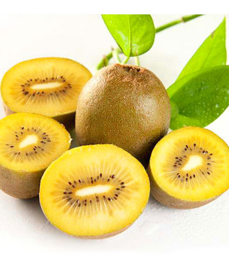 【jd物流】四川当季新鲜黄心猕猴桃新鲜水果当季大果奇异果弥猴桃香甜
