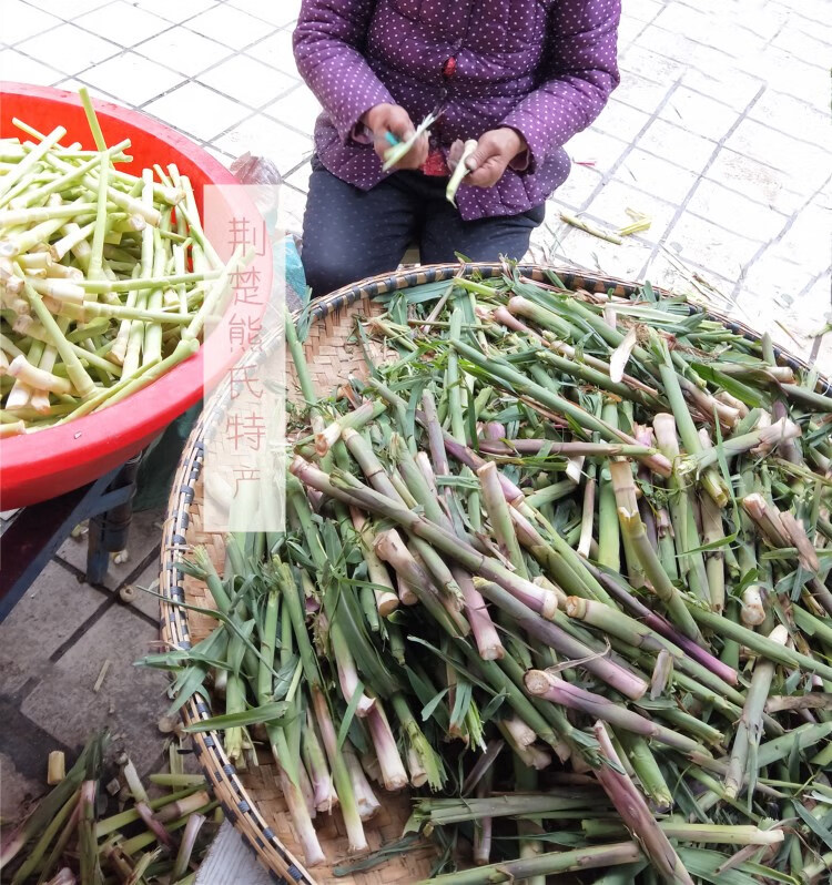 湖北特产新鲜蔬菜柴笋子芦苇笋天鹅洲荻笋1000克 2斤 原味 2斤 原味